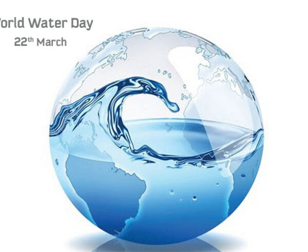 Dita Botërore e Ujit